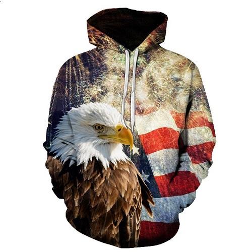 Eagle Of Liberty Hoodie - Rebel Heat