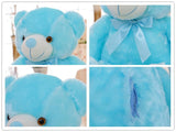 Glow Hug Plush LED Teddy - Rebel Heat